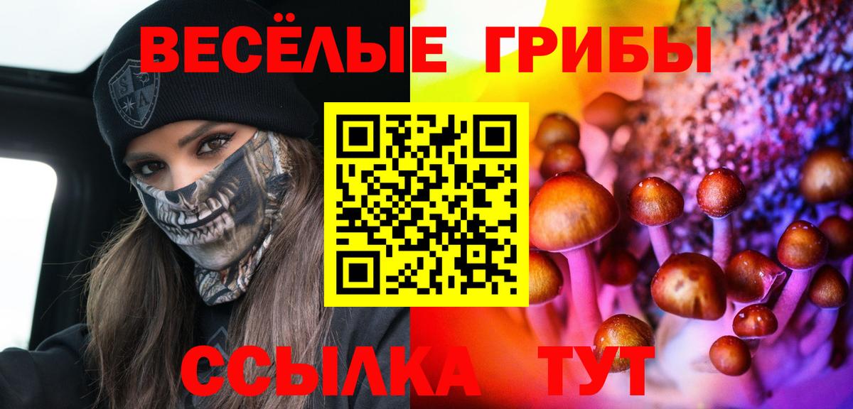 Галлюциногенные грибы Psilocybine cubensis  Вход с VPN  Алатырь 